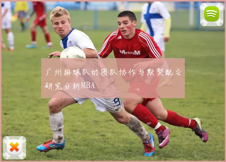 广州排球队的团队协作与默契配合研究分析MBA