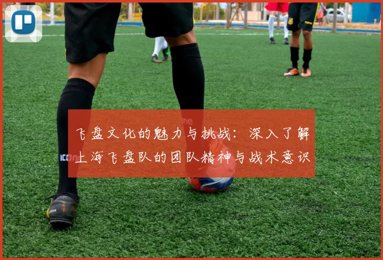 飞盘文化的魅力与挑战：深入了解上海飞盘队的团队精神与战术意识
