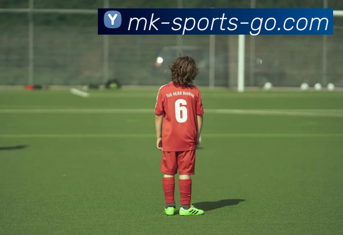 mk体育网站APP 封面图